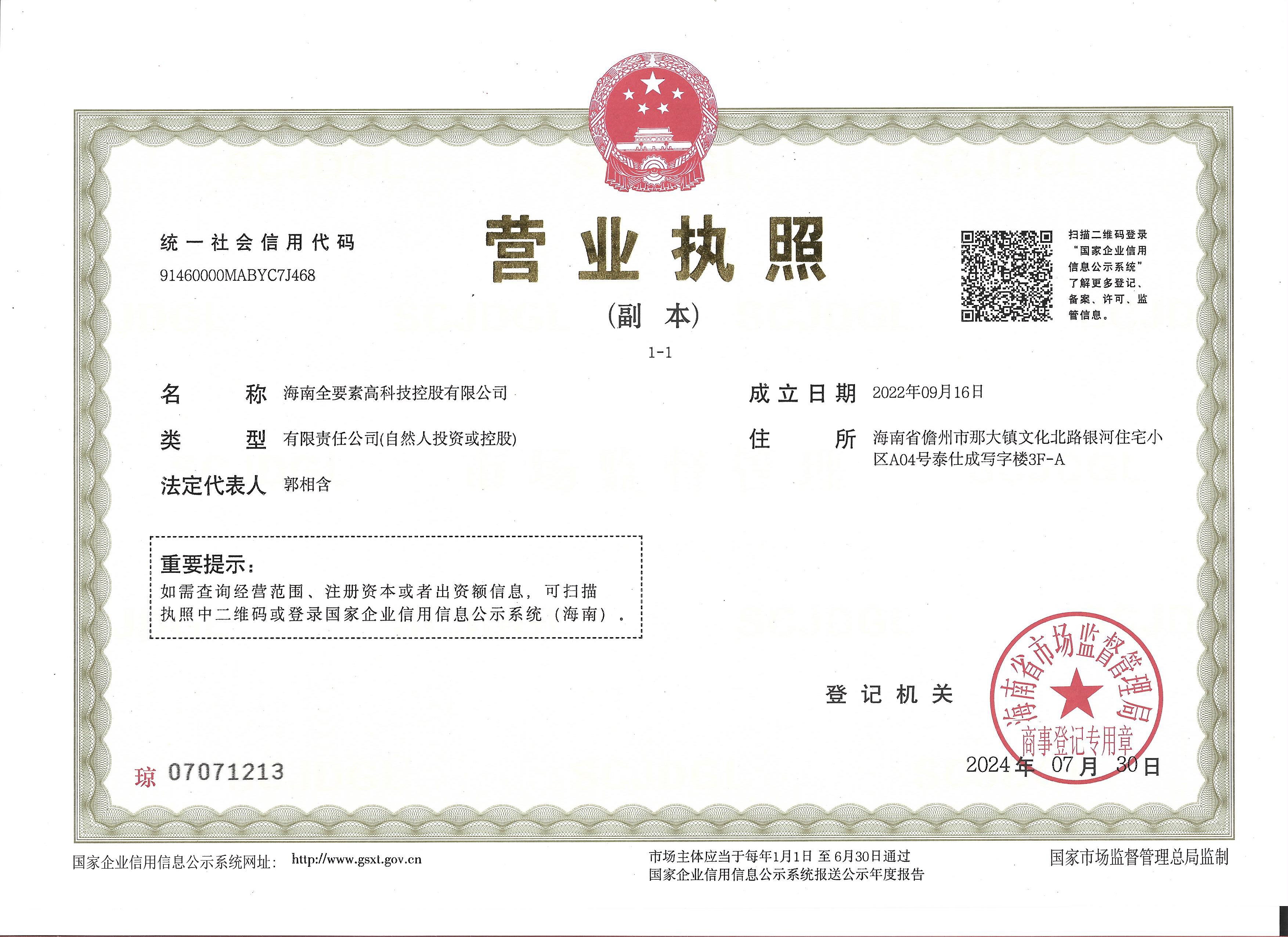 海南全要素高科技控股有限公司