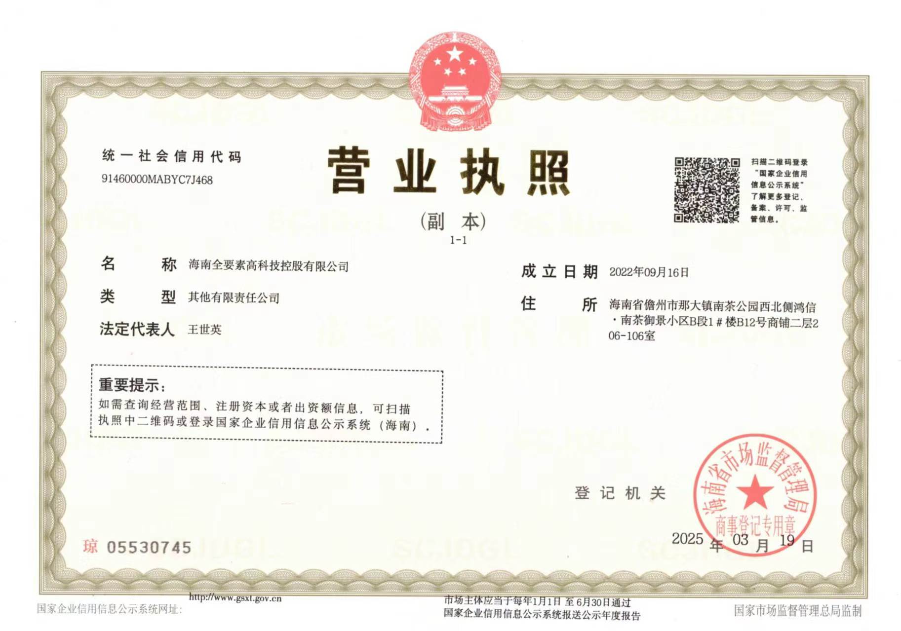 海南全要素高科技控股有限公司