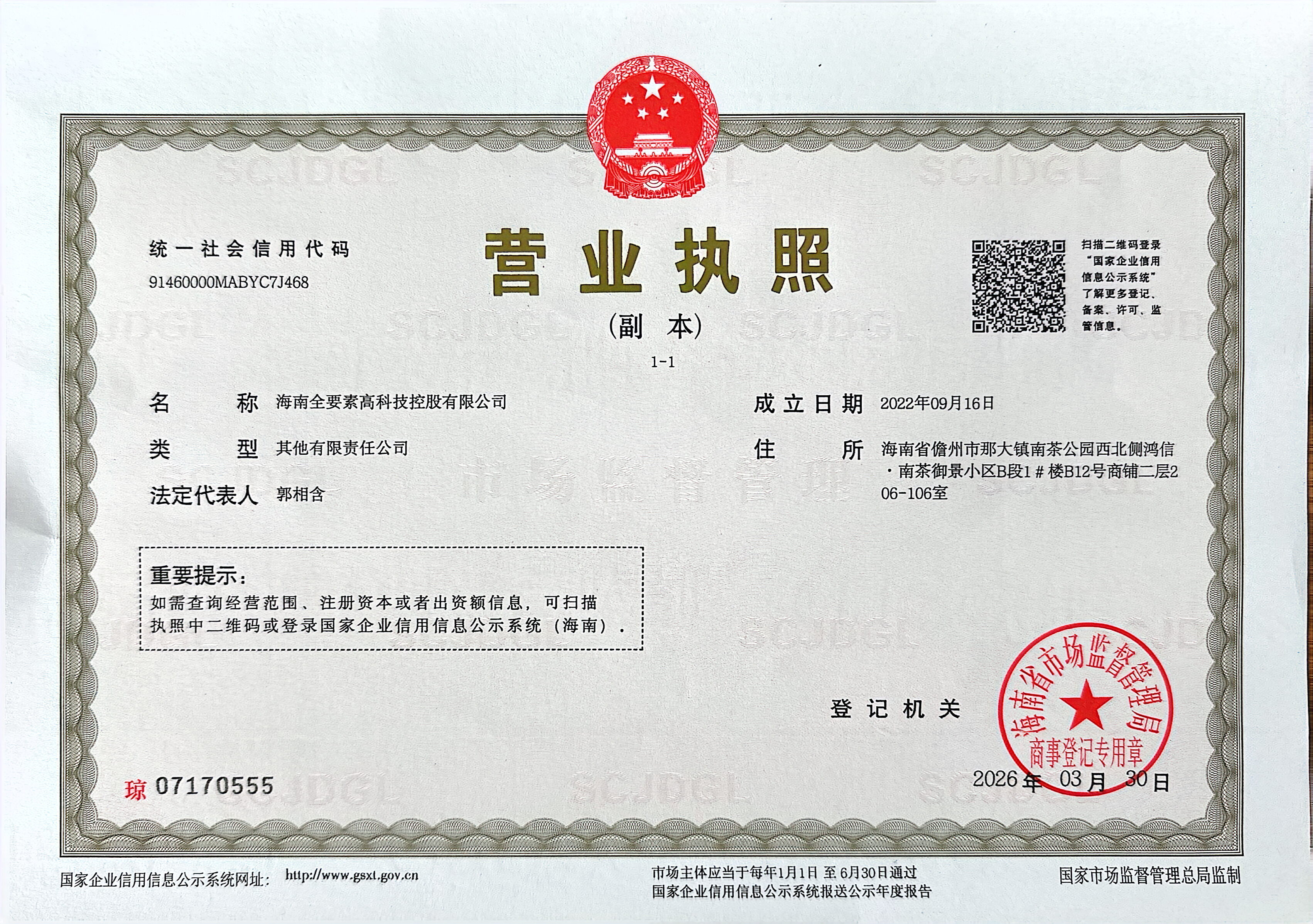 海南全要素高科技控股有限公司